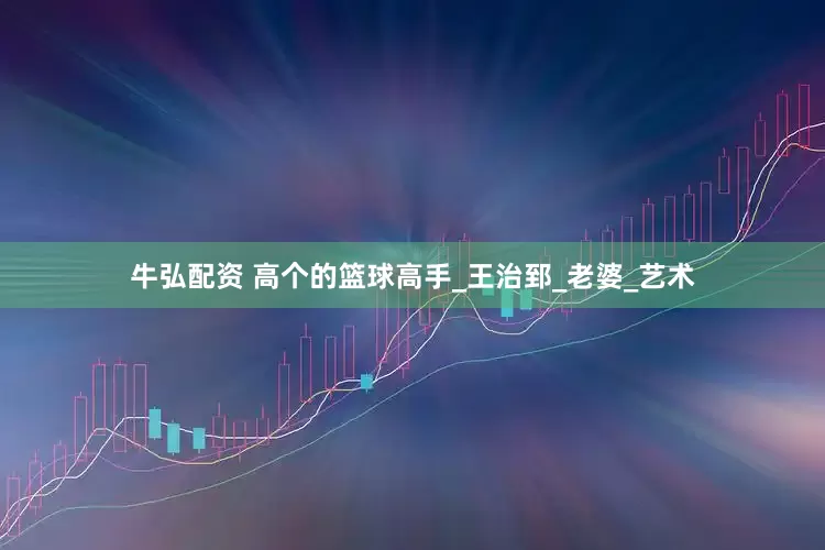 牛弘配资 高个的篮球高手_王治郅_老婆_艺术