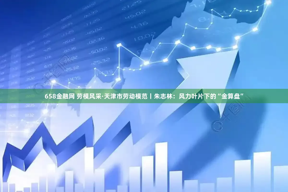 658金融网 劳模风采·天津市劳动模范丨朱志林：风力叶片下的“金算盘”